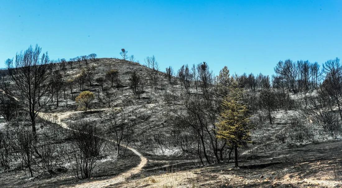 [ JUSTICE ] Incendie Montagnette: Le maire de Barbentane, J-C Daudet, va porter plainte contre X