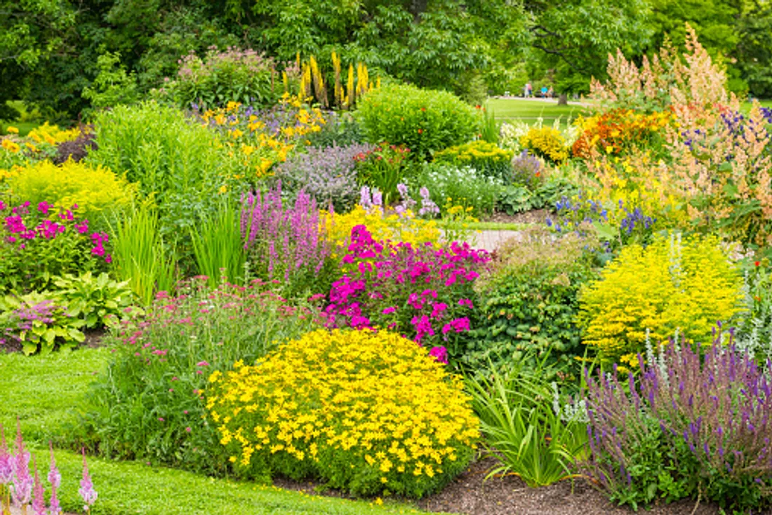 [ SOCIETE ]: Les paysages provençaux une fois de plus mis à l’honneur !