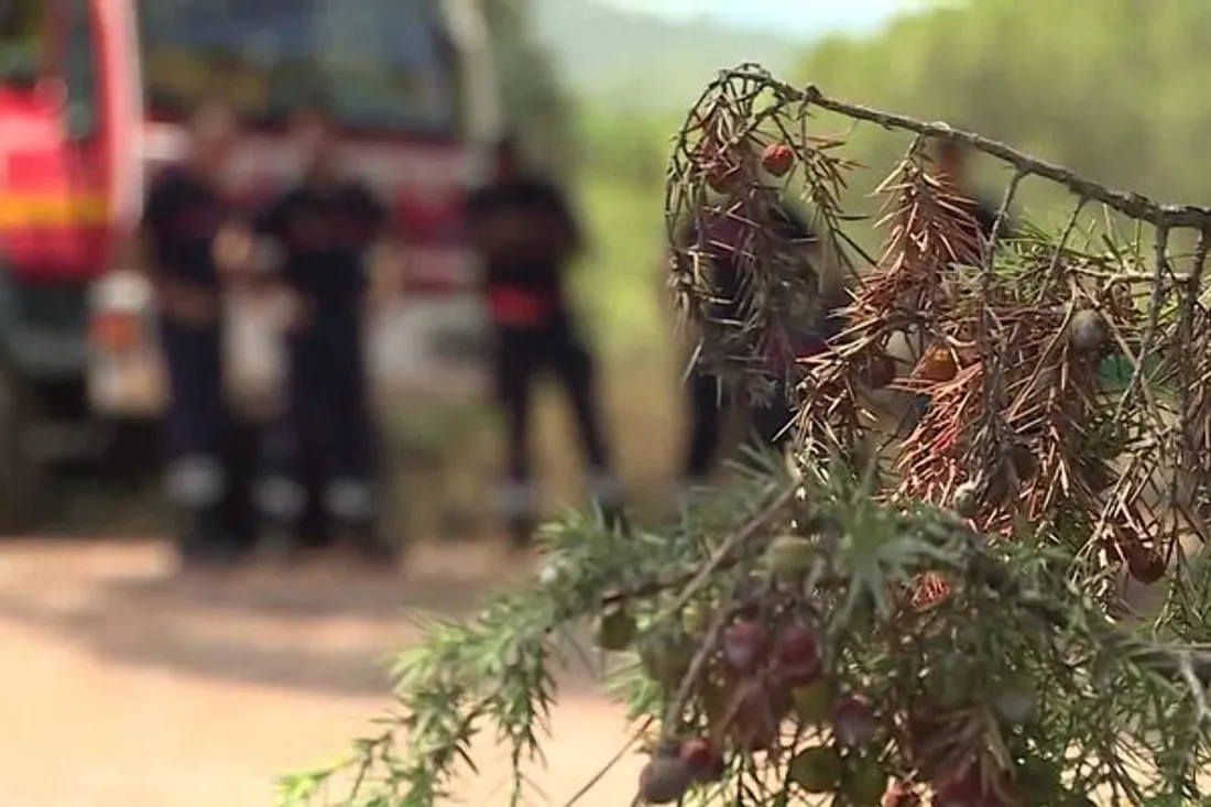 [ ENVIRONNEMENT ] Boûches-du-Rhône: Les pompiers sur le qui-vive