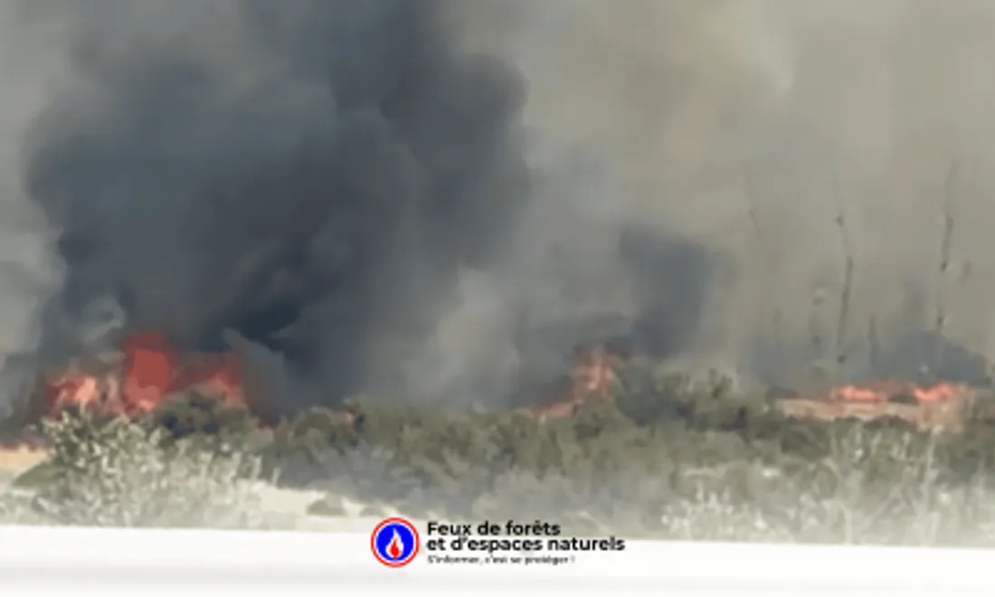 [ ALERTE INFO ] Incendie maîtrisé à Maussane-les-Alpilles : 15 hectares détruits