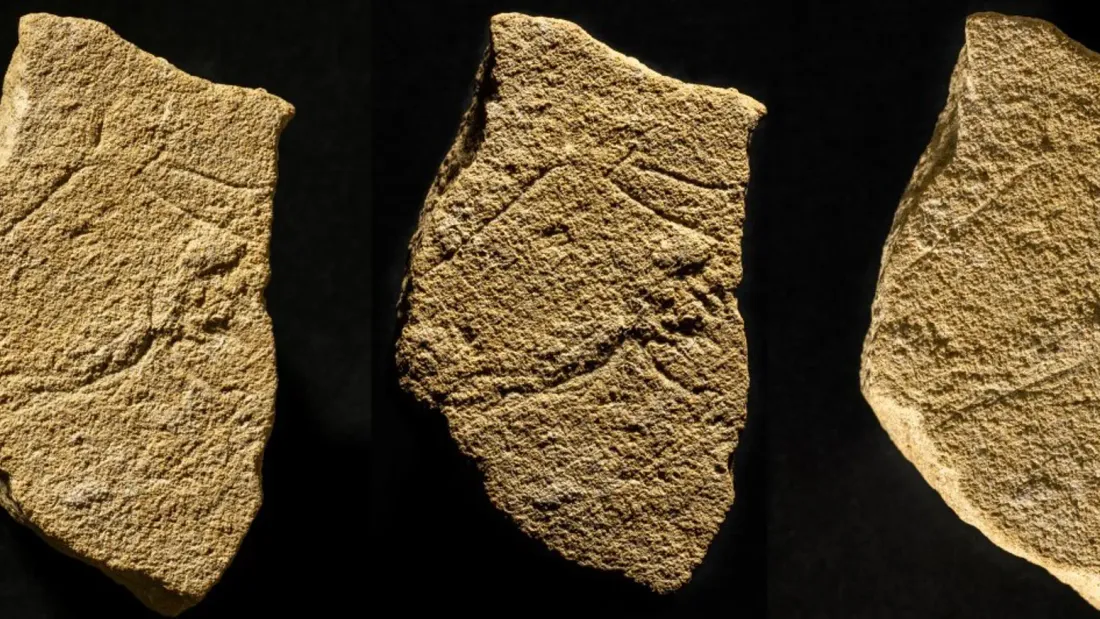 [CULTURE] Camargue : des gravures du paléolithiques découvertes sur un site de stockage de déchets 