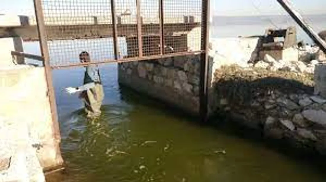 [ SOCIETE ] Golfe de Fos: Pêcheurs et politiques ouvrent la discussion