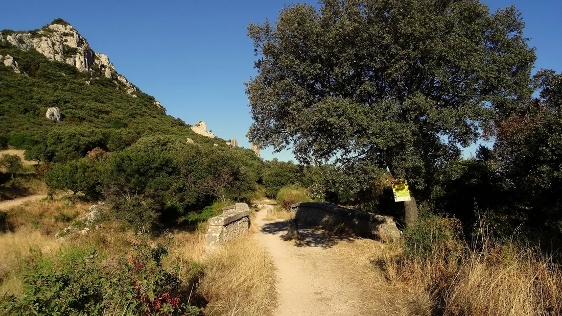 Entretien des sentiers : une journée de collaboration dans les Alpilles