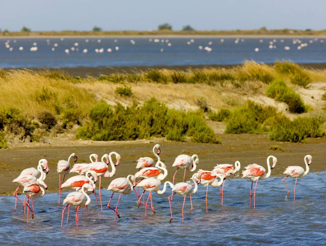 En Camargue, le patrimoine se découvre aussi au fil de l’eau et des paysages