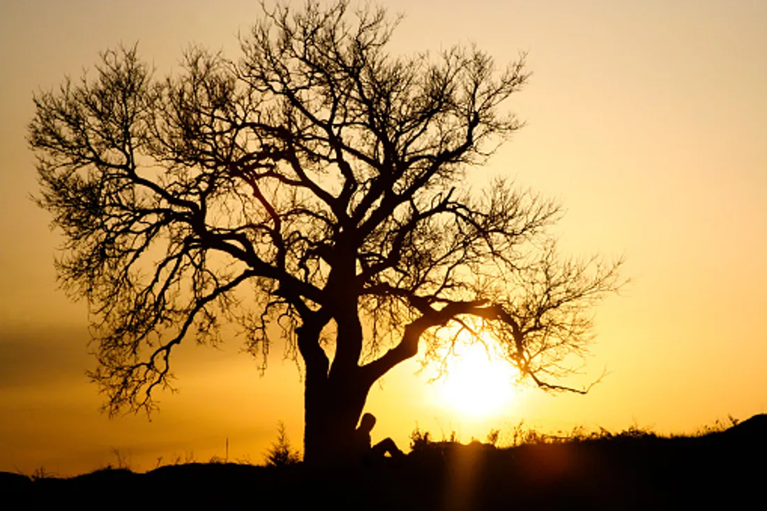 [ SOCIETE / ECOLOGIE ]: Un projet écolo auquel vous pouvez participer ce week-end