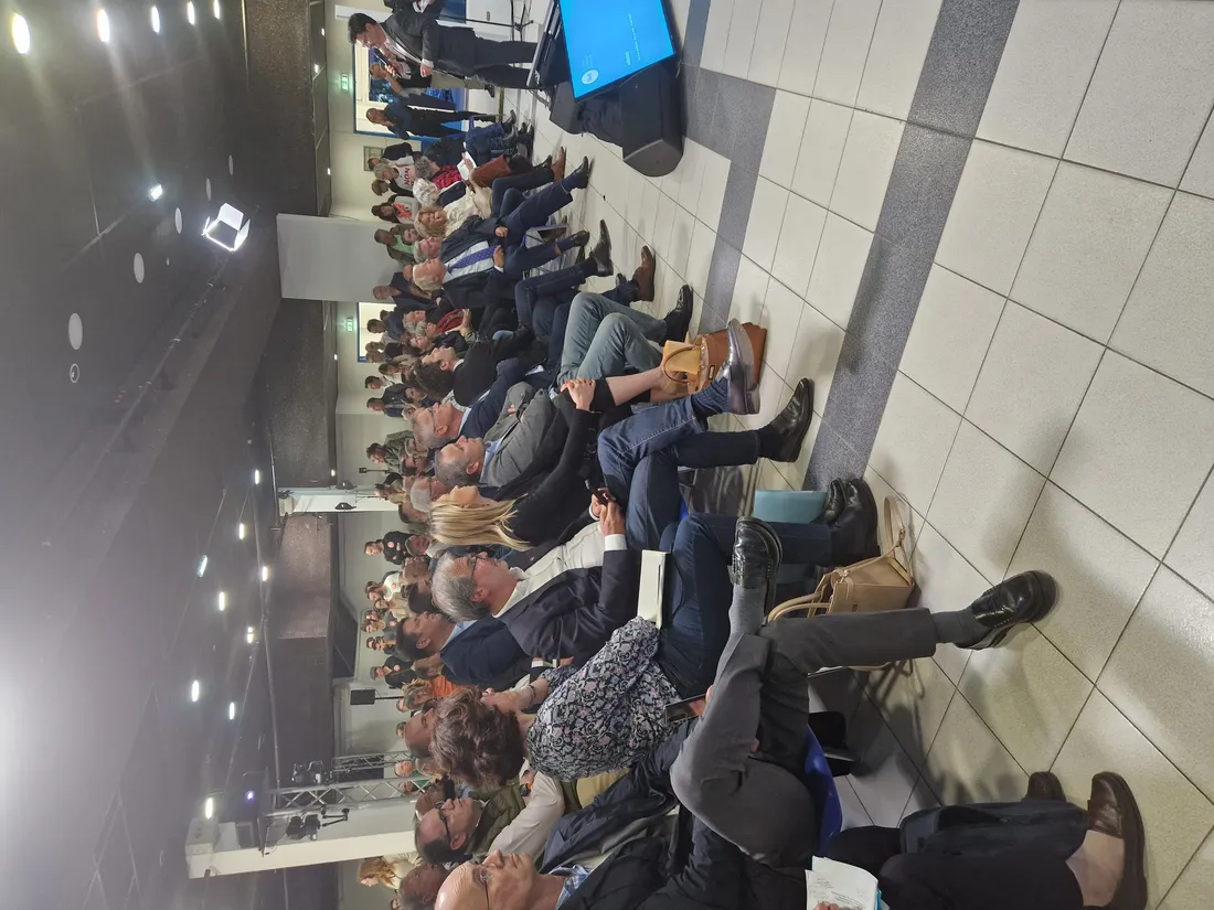 [ SOCIETE - CAMARGUE ] Ligne très haute tension: Un débat toujours aussi tendu