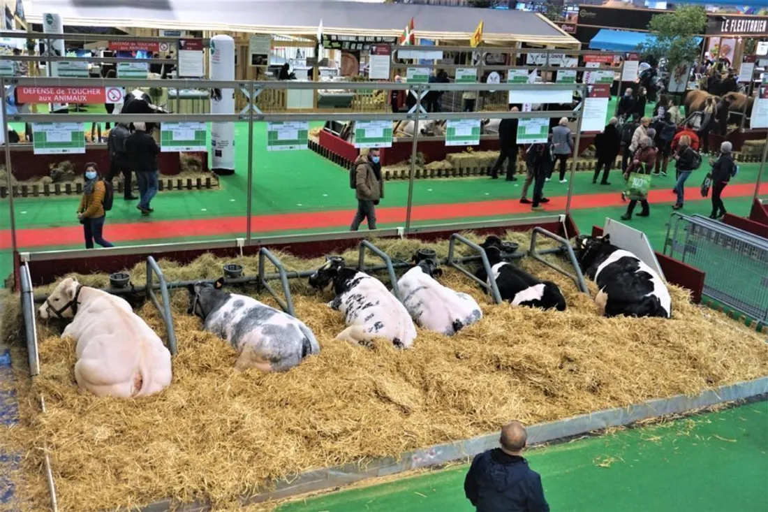 Un Salon de l’agriculture 2026 inédit s’annonce à Paris