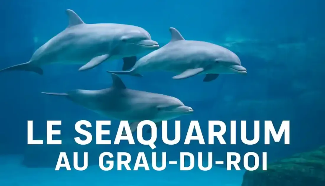 [Loisirs & Découvertes] Seaquarium – Grau du Roi : immersion au cœur de la vie marine