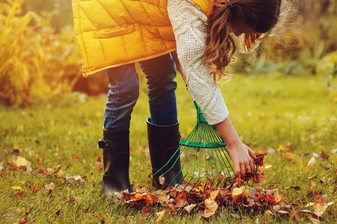Fin de l’été : les gestes essentiels pour préparer son jardin à l’automne