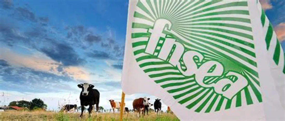 Les syndicats agricoles français mobilisés contre le traité de libre-échange UE-Amérique du Sud