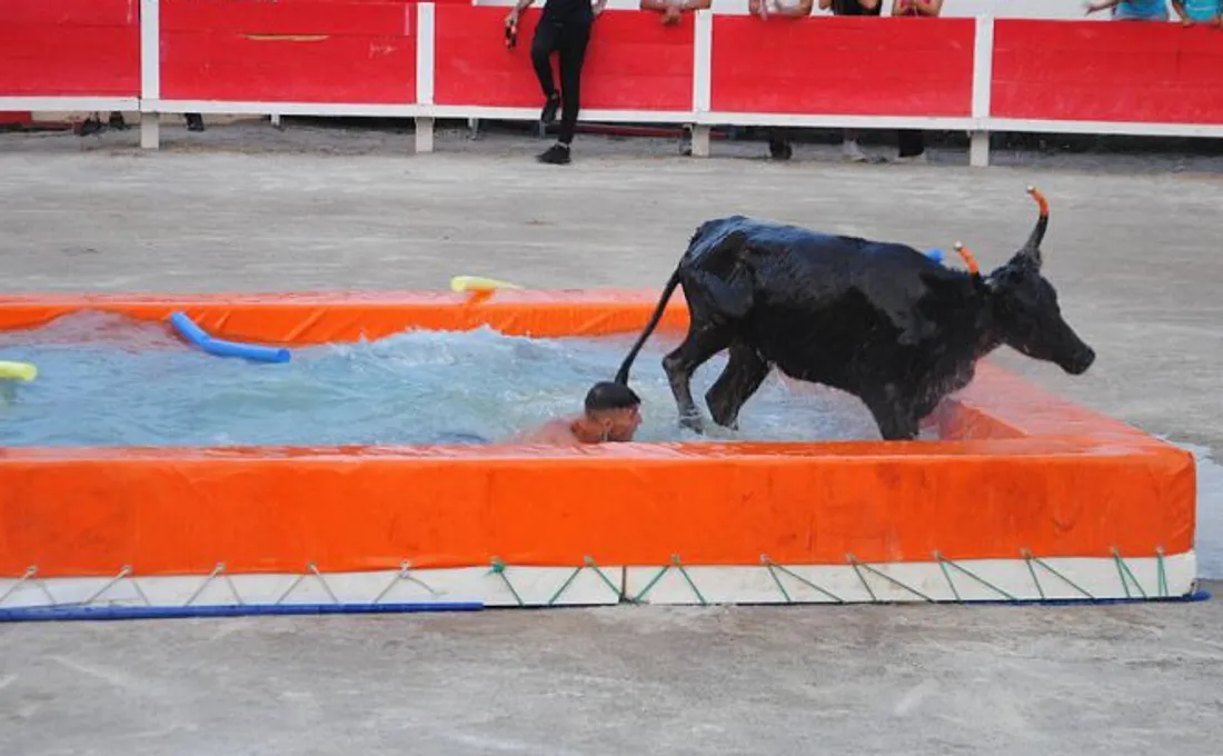 Toro Piscine à Istres : des soirées estivales placées sous le signe de la convivialité et du rire