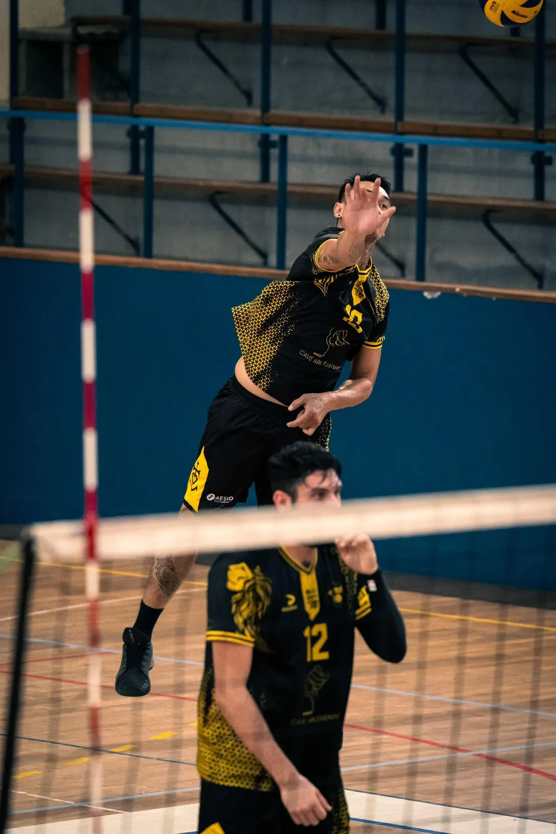 [ SPORT ] Volleyball: Le VBA arlésien réussit l'exploit et accède à l'Elite