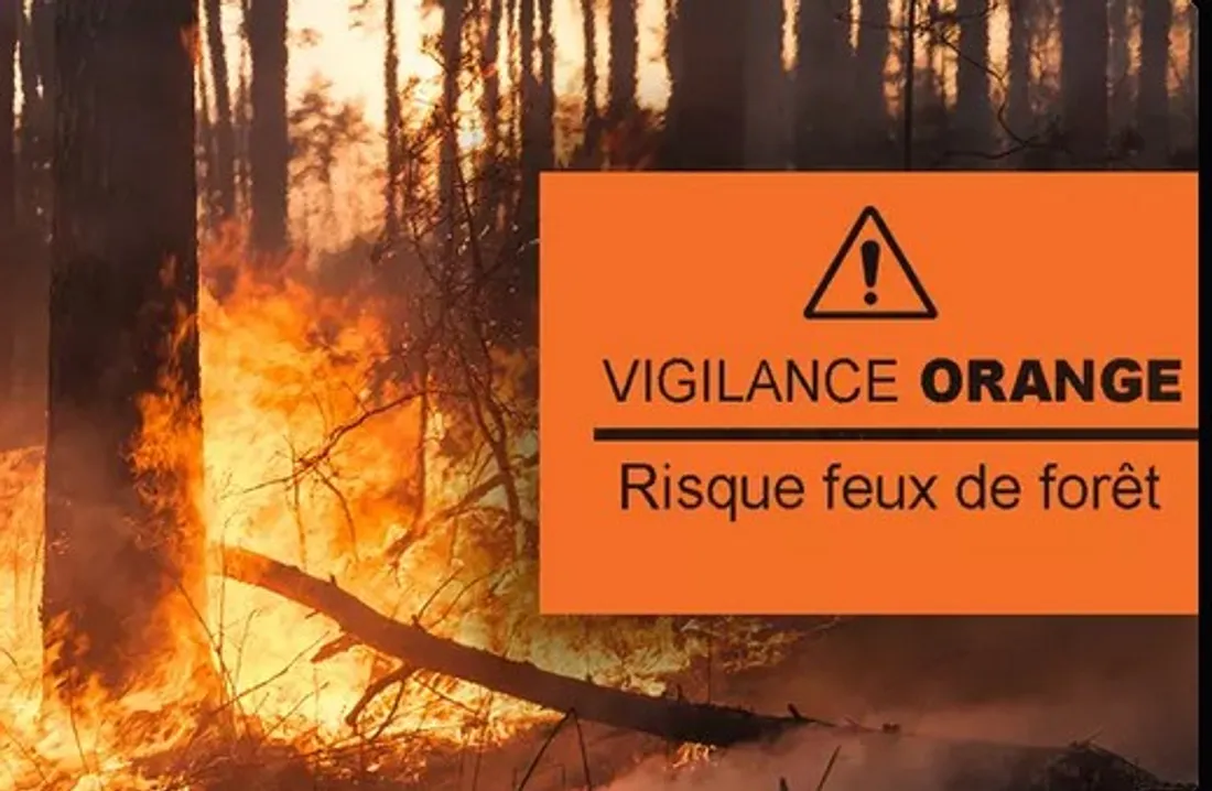 Feux de forêt : plusieurs massifs des Bouches-du-Rhône placés sous vigilance orange