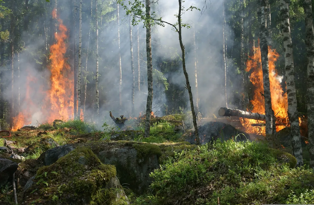 Feux de forêt : vigilance maximale dans les Bouches-du-Rhône