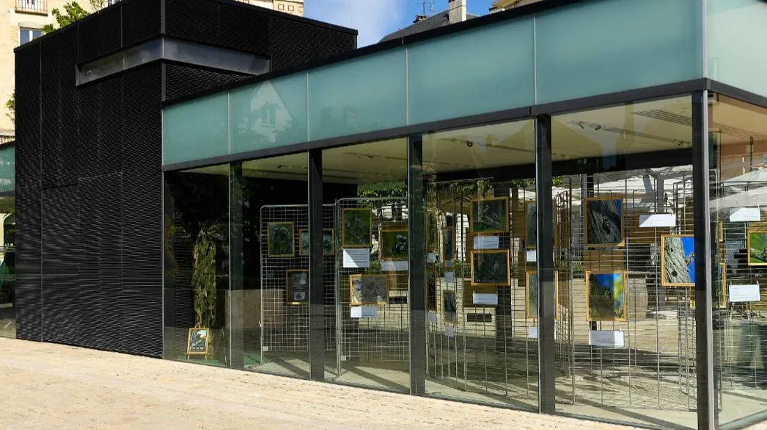 Exposition consacrée aux oiseaux , Mai 2025, Chartres,  Damien Rouger