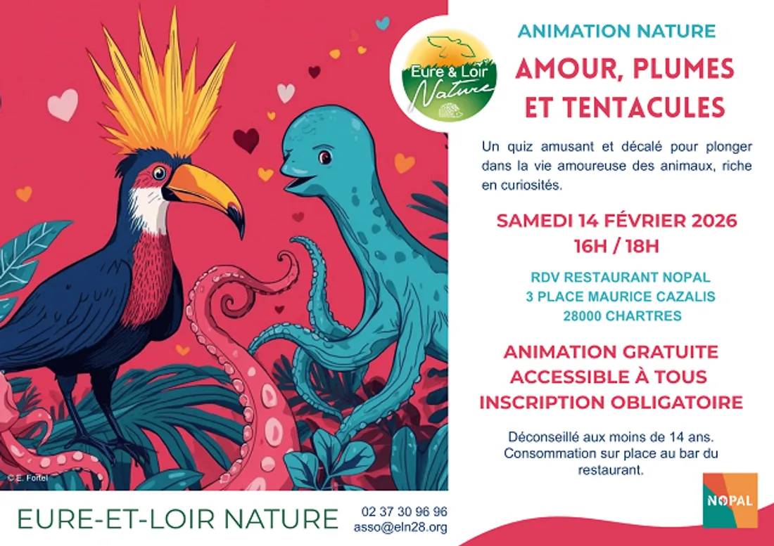 CHARTRES - Animation nature : Amour, plumes et tentacules