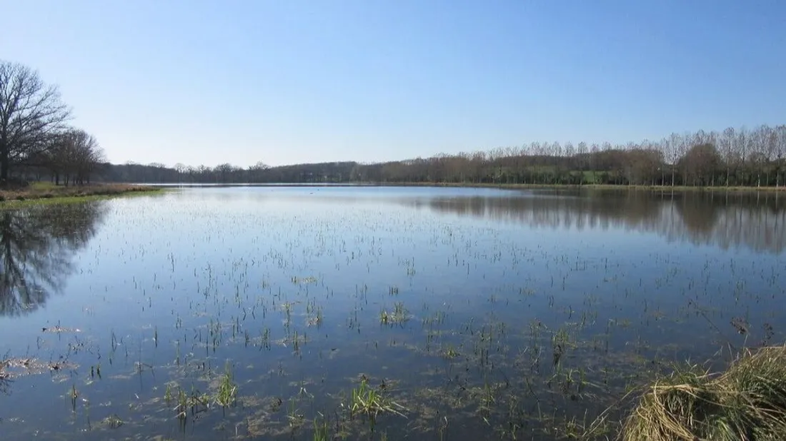 étang perruchet au sol