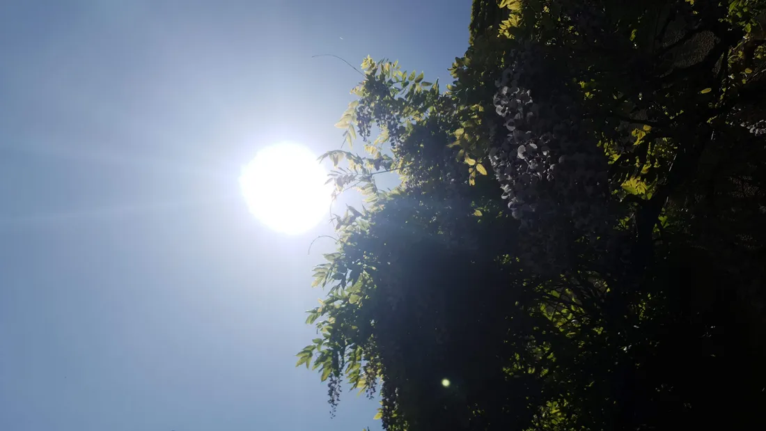 Ciel ensoleillé