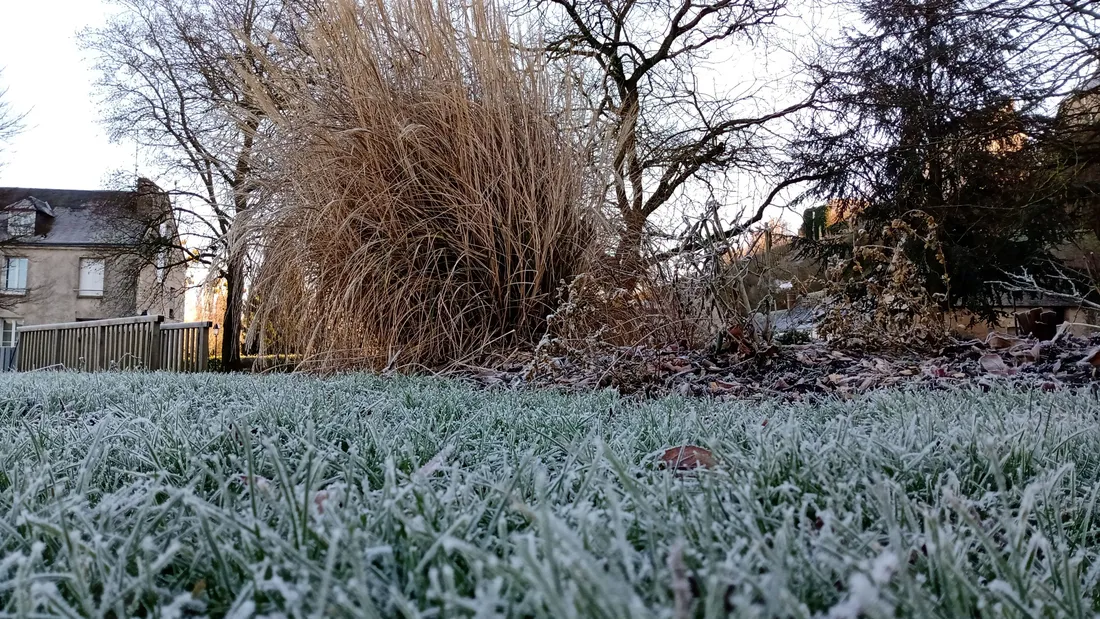 gelées verglas froid