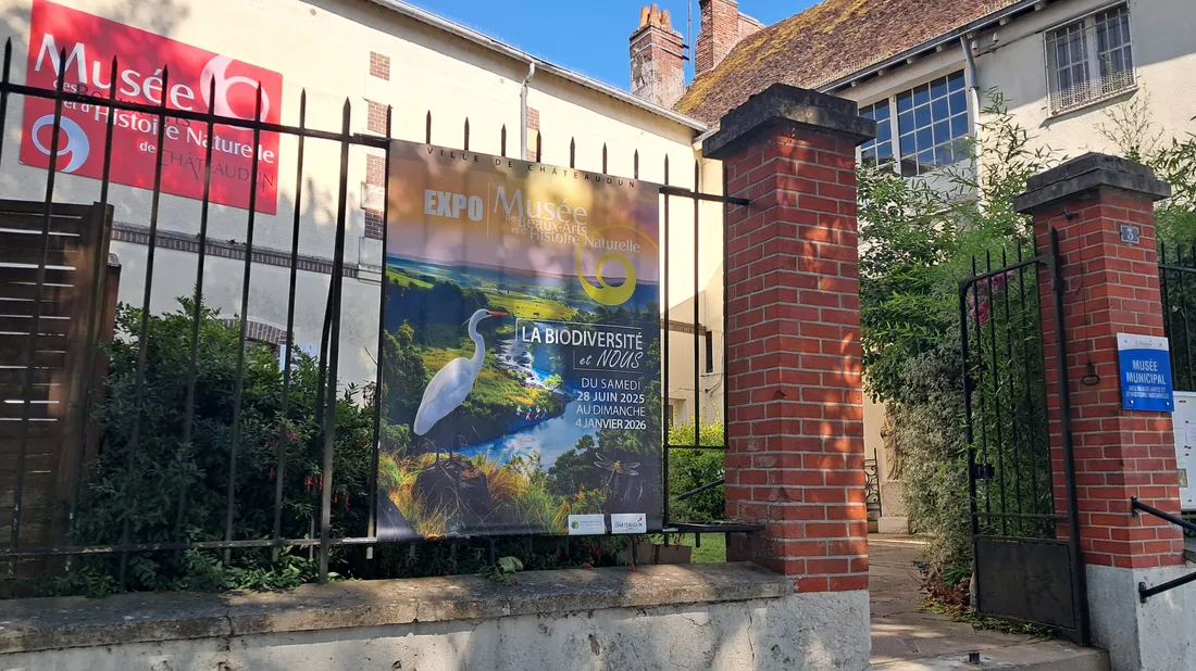 « La biodiversité et nous » au musée des beaux-arts et d'histoire naturelle  de Châteaudun
