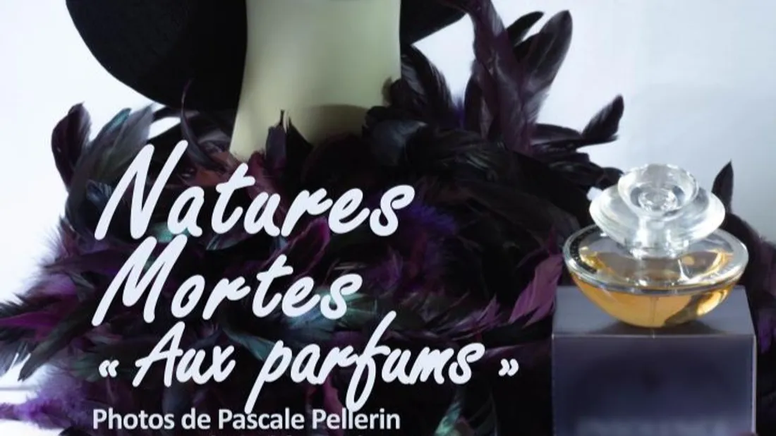 Nature mortes aux parfums