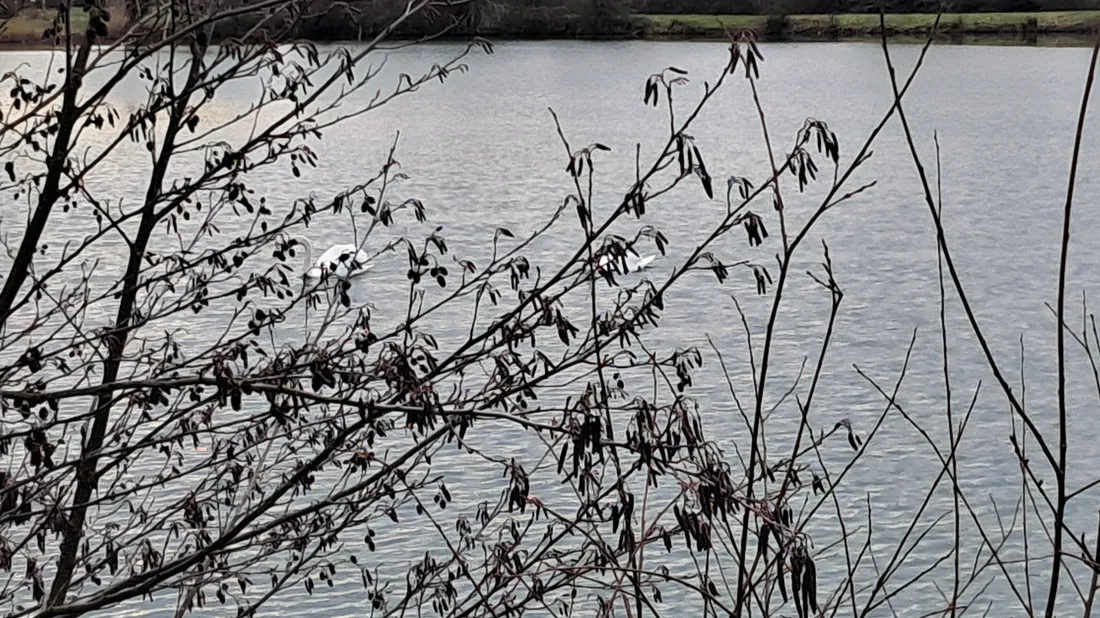 Etang