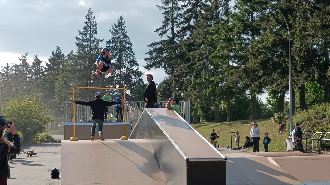 Adonis C'Chartres Roller