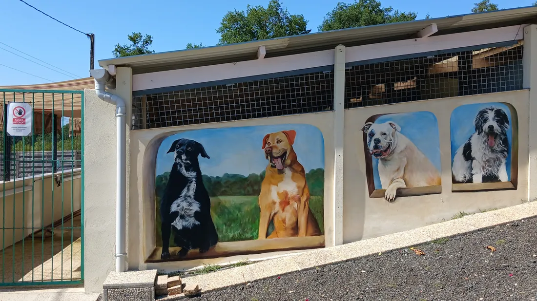 ASPAD / refuge Châteaudun / protection des animaux 