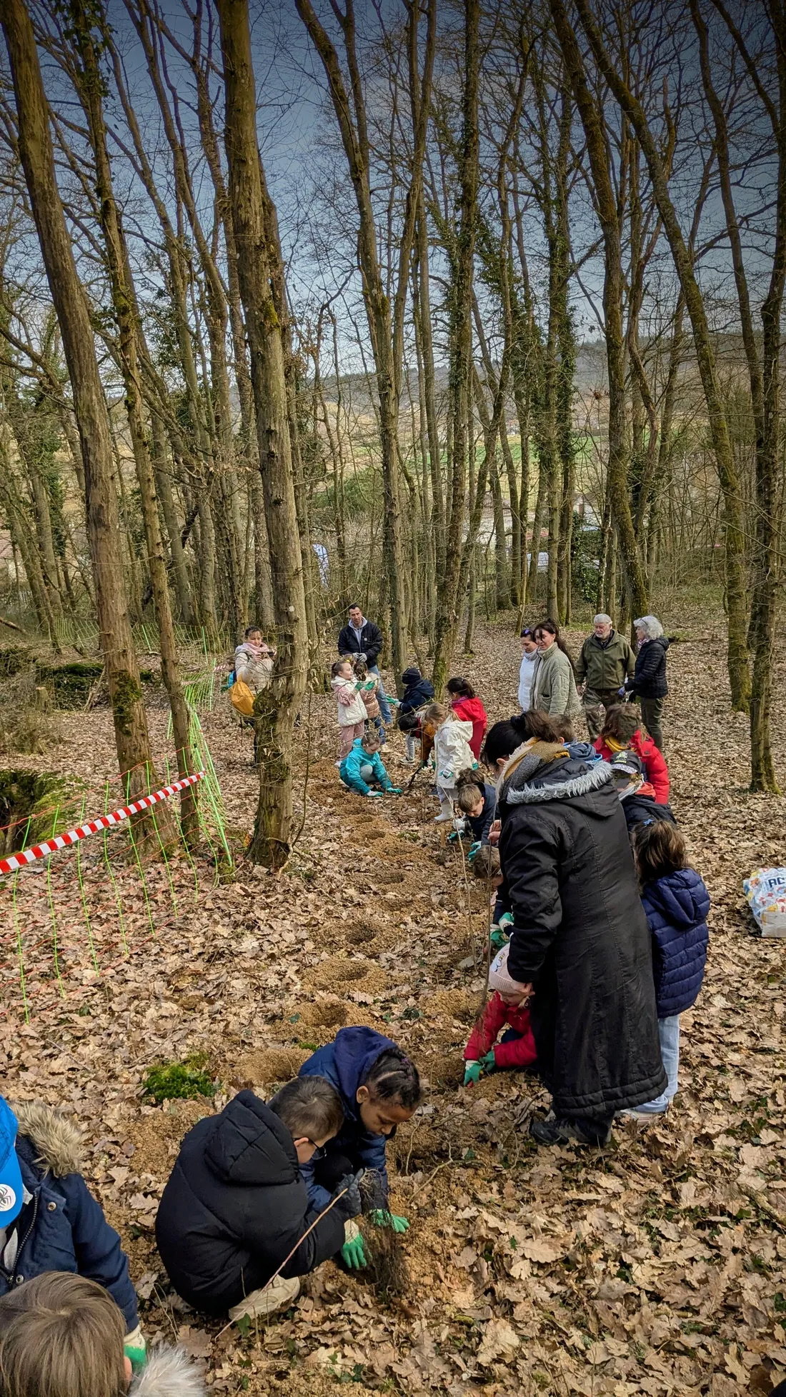 plantation haie, écoliers, Coupe de Chaudon, Eure-et-Loir