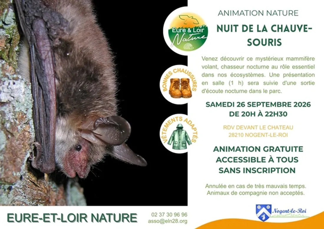 NOGENT-LE-ROI - Nuit de la chauve-souris