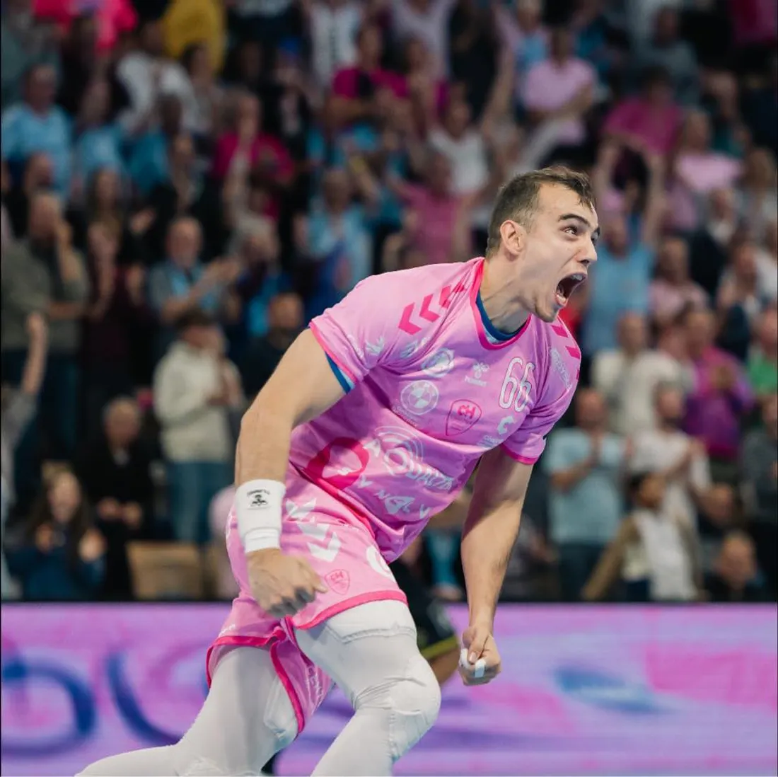 eduardo cardoso ccmhb