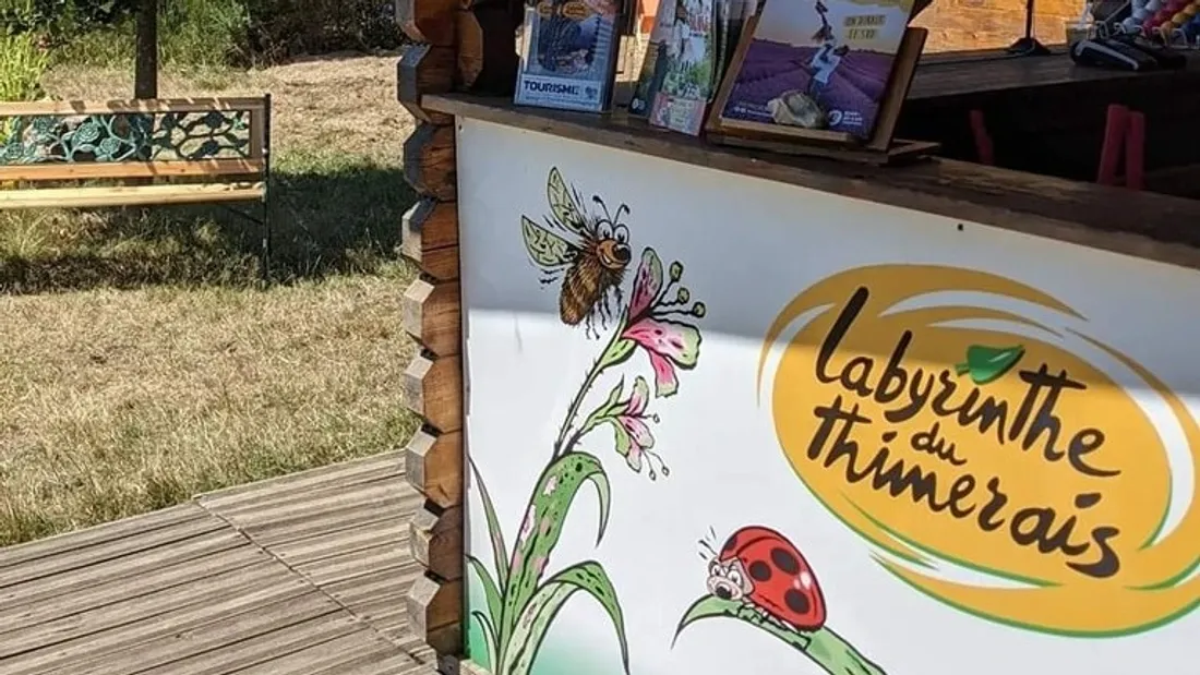 Labyrinthe végétal du Thimerais 