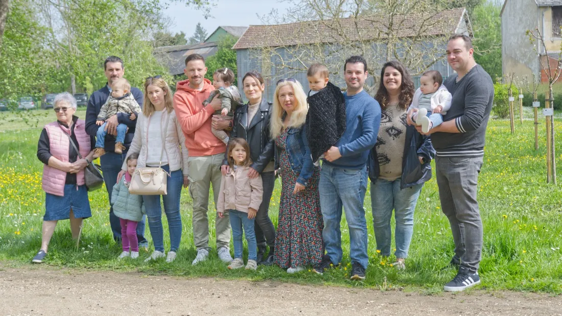 un arbre une naissance illiers combray