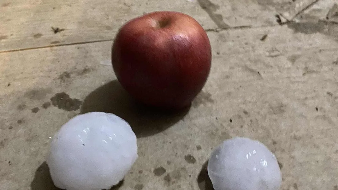 grêlons grêle pomme