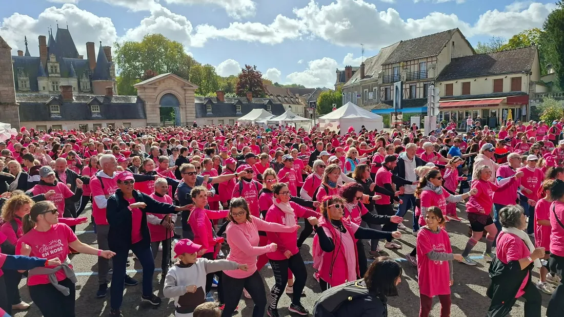 marche rose maintenon
