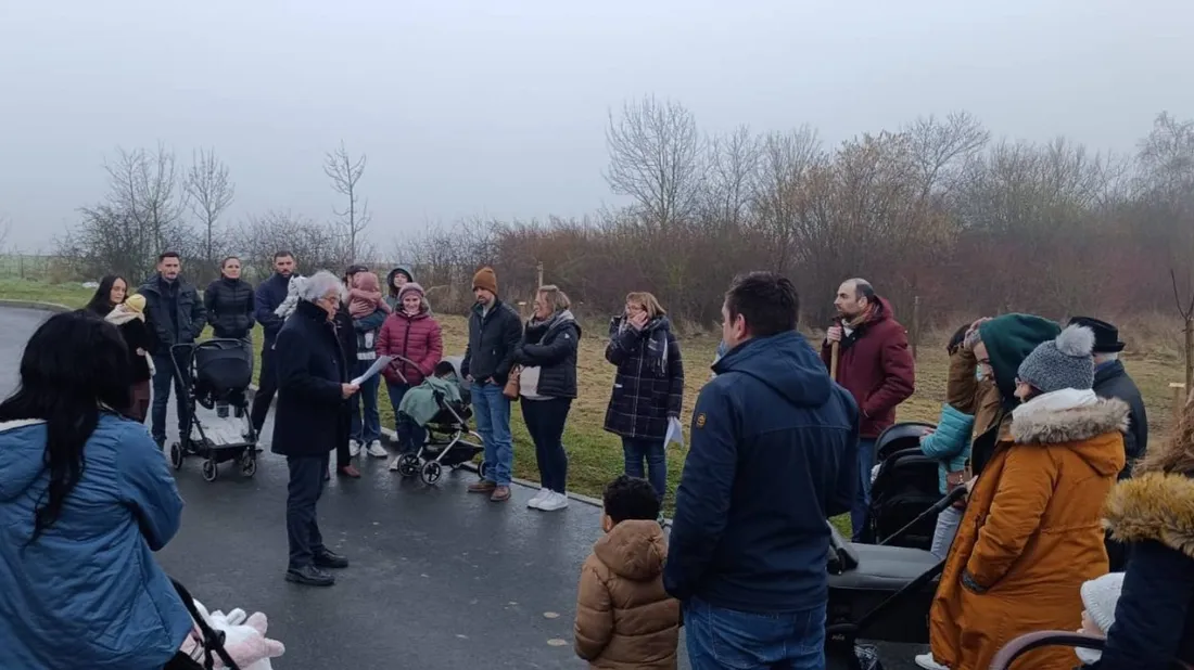 UIe naissance = un arbre