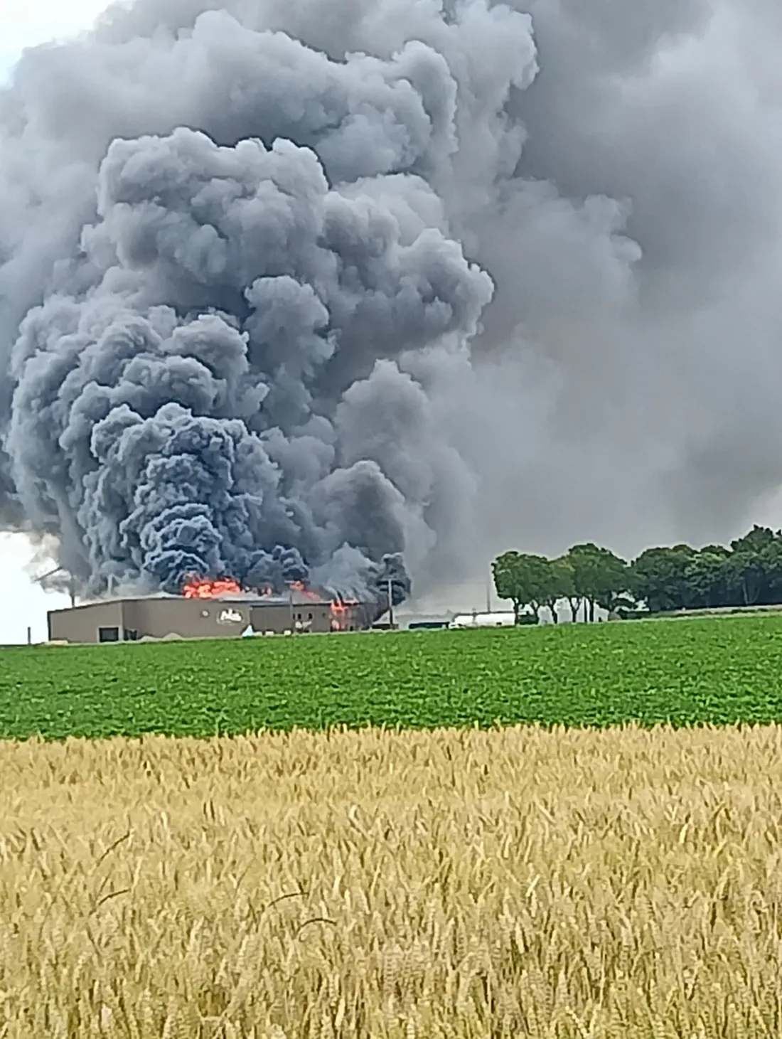 belsia incendie