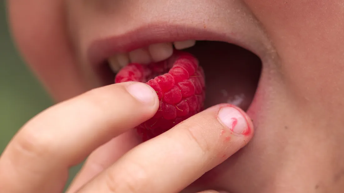 fruits frais bouche enfant
