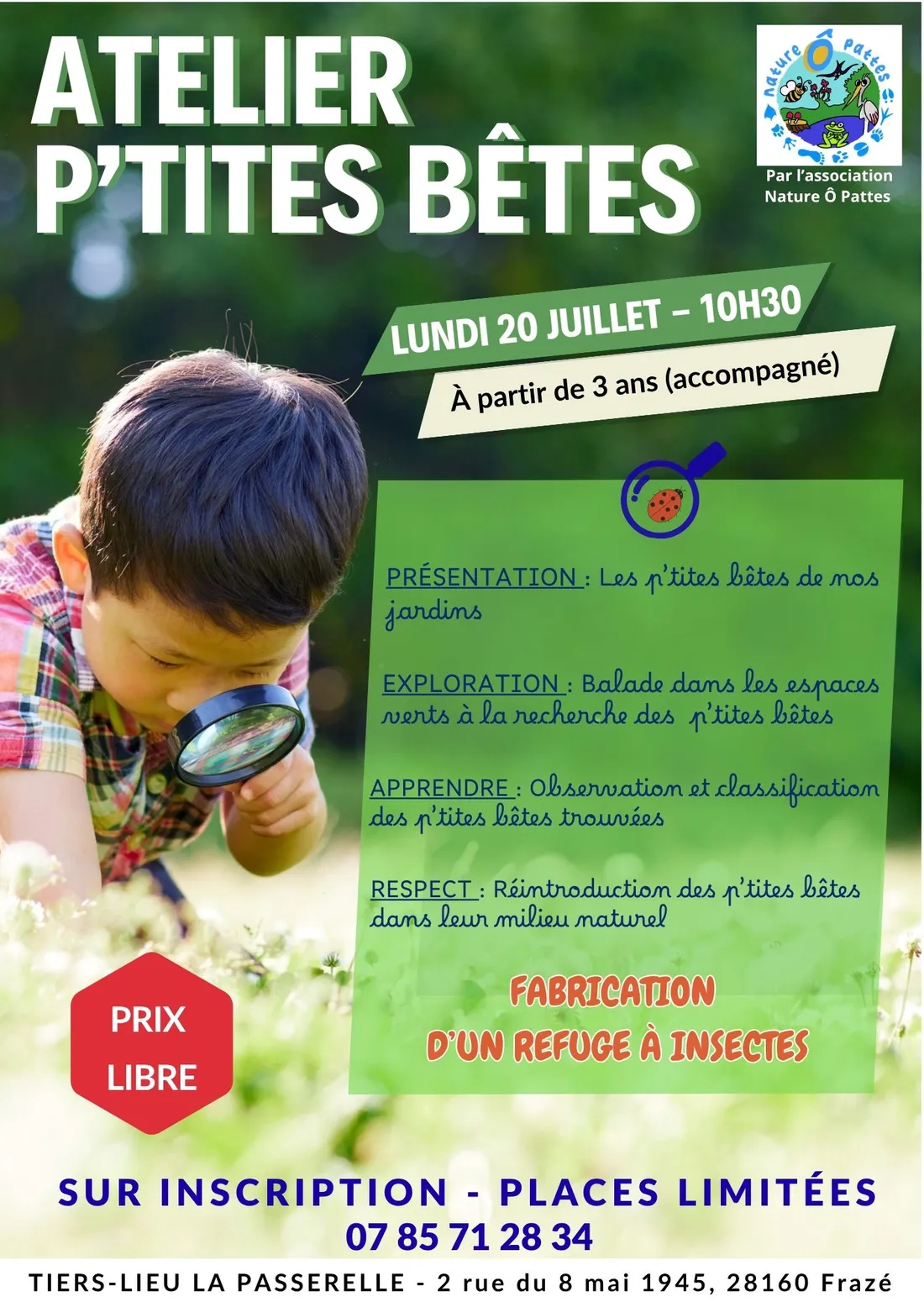 FRAZÉ - Atelier P'tites bêtes