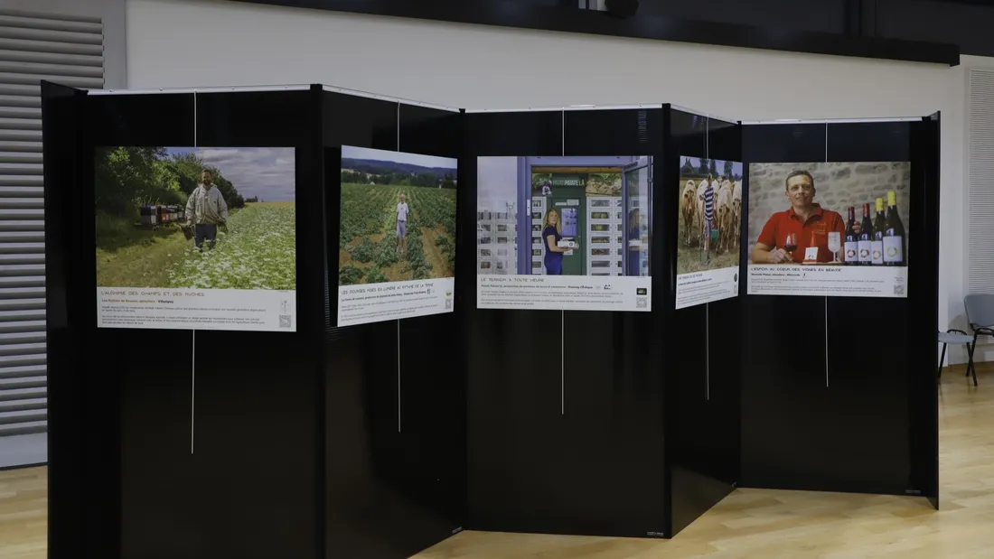 expo "Pleinement local au-delà des clichés"