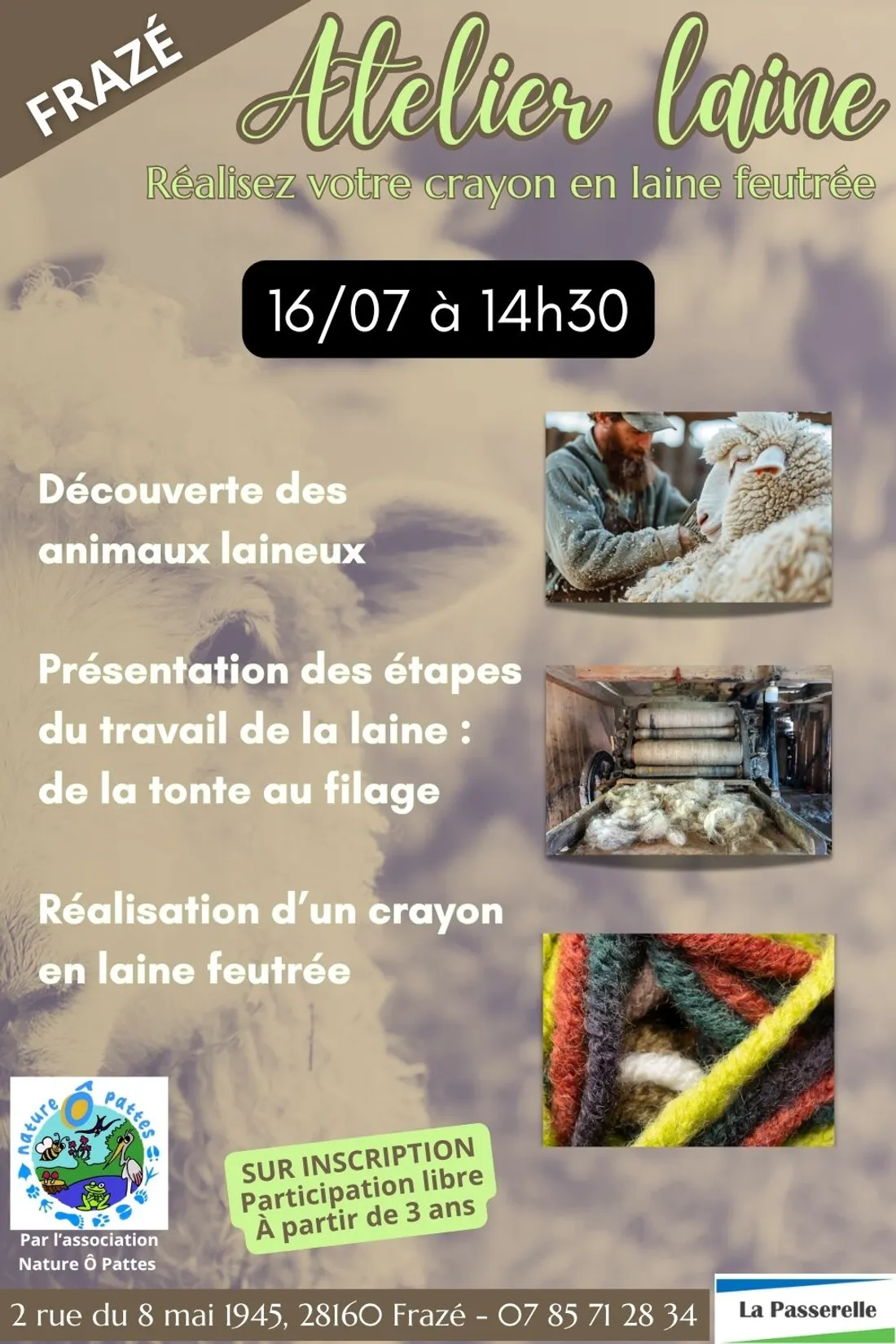 FRAZÉ - Atelier laine