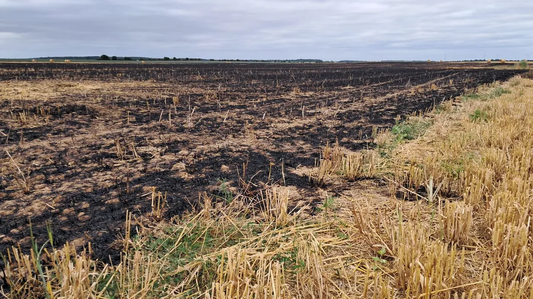 champ brûlé / incendie