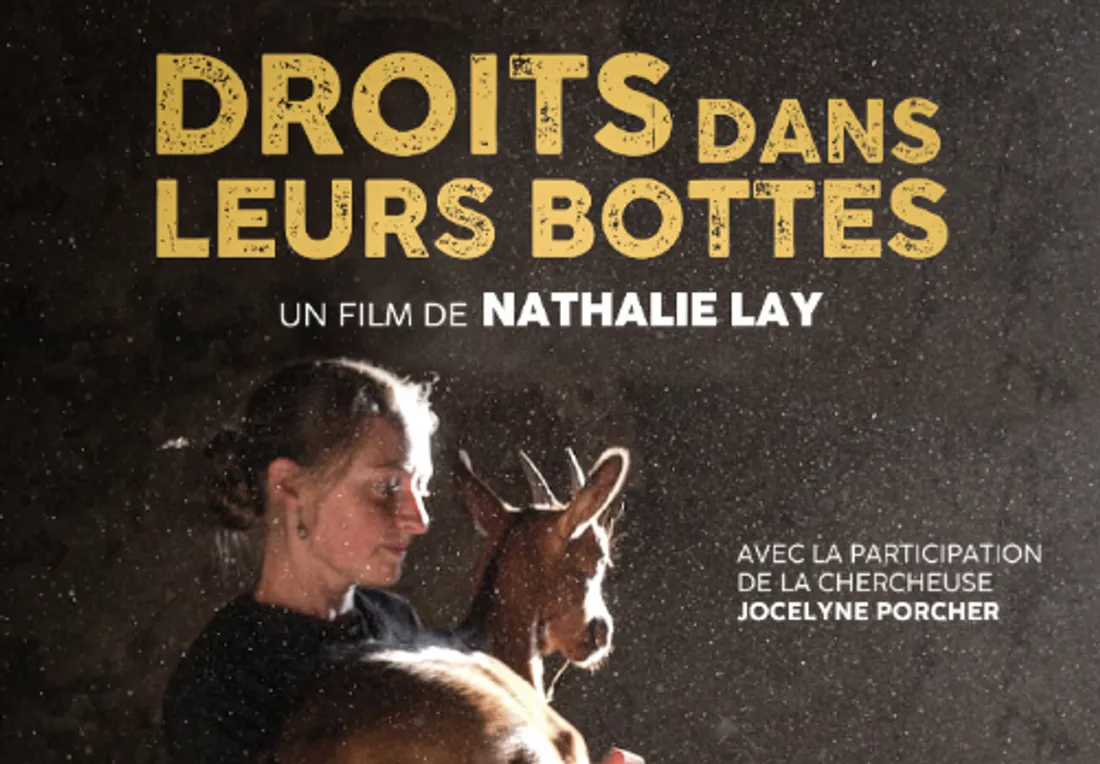 Affiche du film "Droits dans leurs bottes"