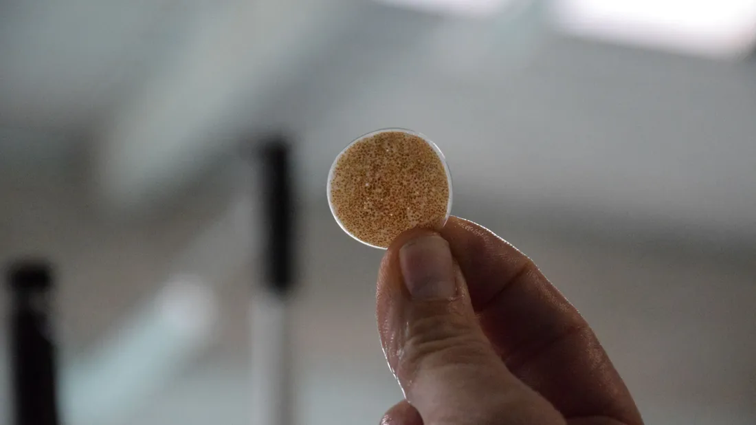 filtre saumon média