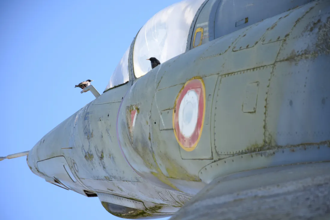 mirage III chateaudun deux oiseaux
