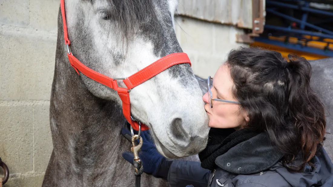 jena manon percheron