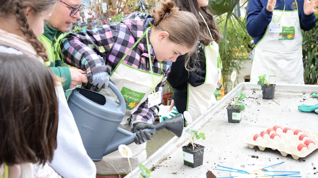 fraisier atelier jardinage enfants