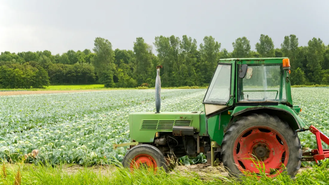 Agriculture