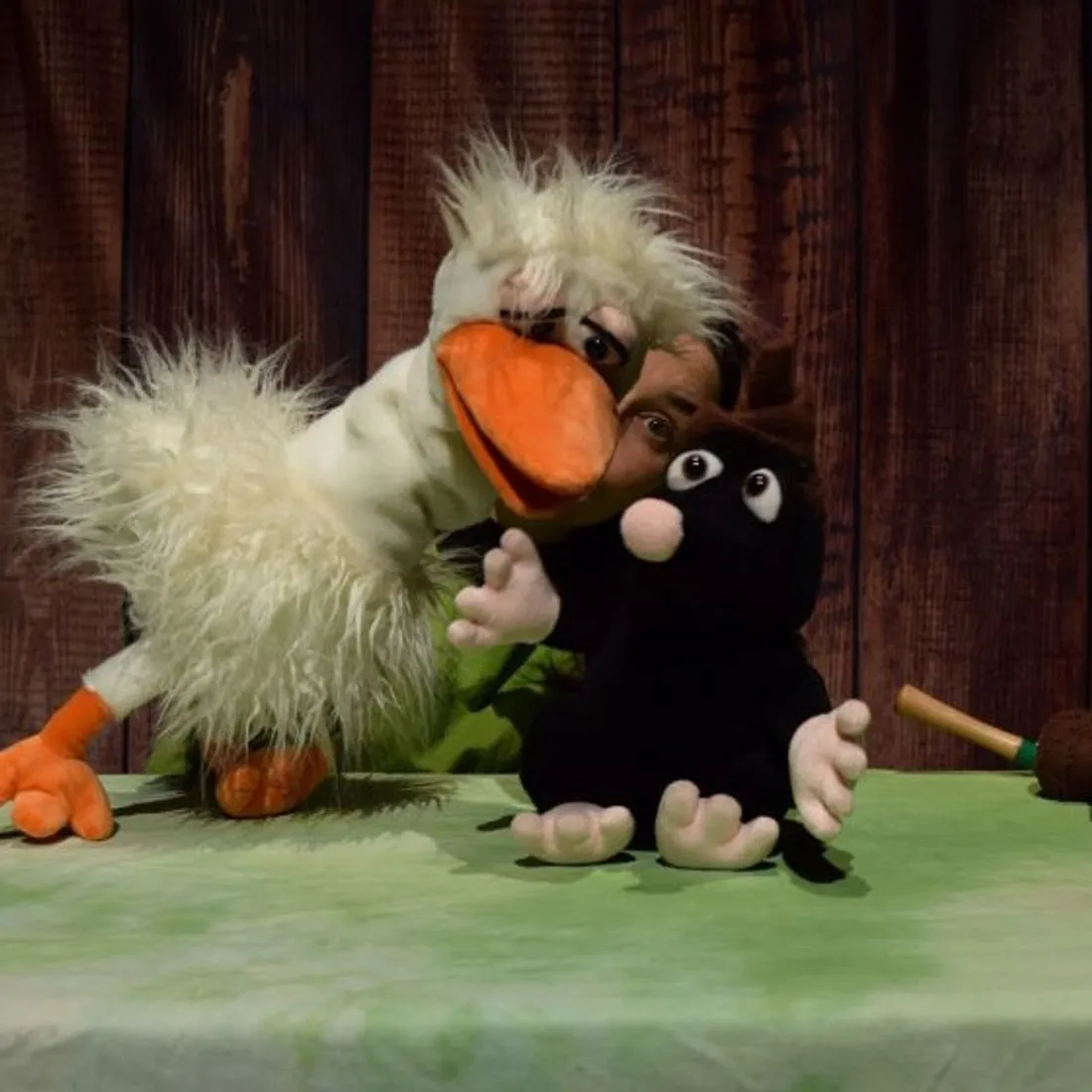 Du poil de la bête !