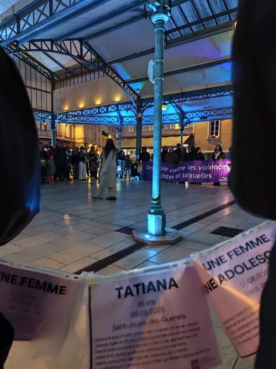 frise féminicides 2025 